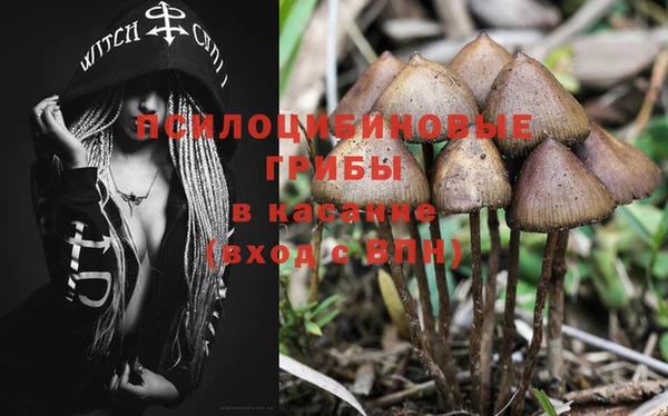 хмурый Волосово
