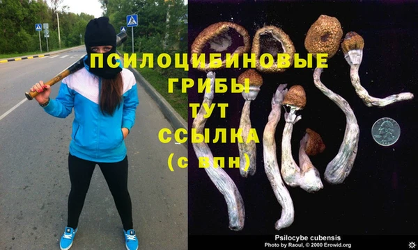 прущая мука Волоколамск