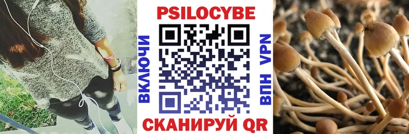 купить  сайты  omg   Галлюциногенные грибы Magic Shrooms  Сусуман 